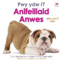 Book Cover for Pwy Ydy I? Anifeiliaid Anwes / Who Am I? Pets by DK