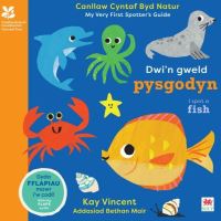 Book Cover for Dwi'n Gweld Pysgodyn / I Spot a Fish by Yr Ymddiriedolaeth Genedlaethol