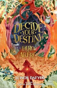 Book Cover for Hero of Arfro by Llinos Dafydd