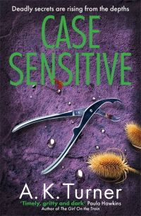 Book Cover for Case Sensitive by A K Turner