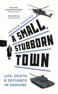 Book Cover for A Small, Stubborn Town by Andrew Harding