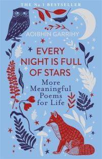 Book Cover for Every Night Is Full of Stars by Aoibhin Garrihy