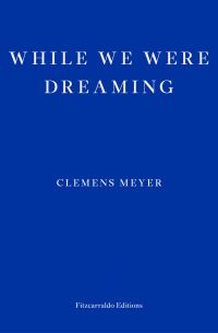 Book Cover for While We Were Dreaming by Clemens Meyer