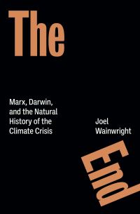 Book Cover for The End by Joel Wainwright