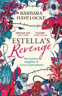 Book Cover for Estella's Revenge by Barbara Havelocke