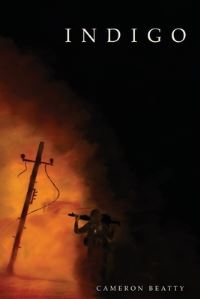 Book Cover for Indigo by Cameron Beatty