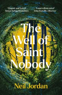 Book Cover for The Well of Saint Nobody by Neil Jordan