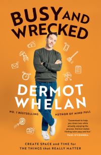 Book Cover for Busy and Wrecked by Dermot Whelan