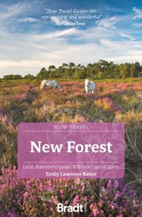 Book Cover for New Forest by Emily Laurence Baker