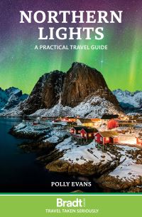 Book Cover for Northern Lights by Polly Evans
