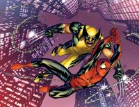 Book Cover for Spider-Man & Wolverine by Jason Aaron