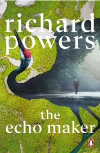 Book Cover for The Echo Maker by Richard Powers