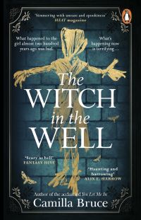 Book Cover for The Witch in the Well by Camilla Bruce