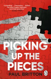 Book Cover for Picking Up the Pieces by Paul Britton
