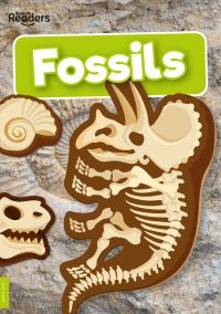Book Cover for Fossils by Rebecca PhillipsBartlett, Kirsty Holmes