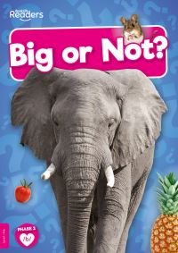 Book Cover for Big or Not? by William Anthony