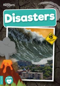 Book Cover for Disasters by Louise Nelson