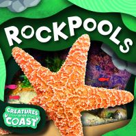 Book Cover for Rockpools by Noah Leatherland