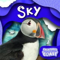 Book Cover for Sky by Robin Twiddy