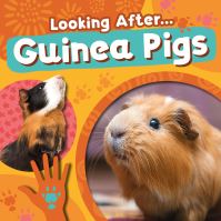 Book Cover for Looking After... Guinea Pigs by Rebecca PhillipsBartlett