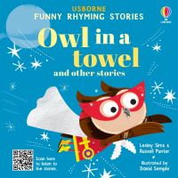 Book Cover for Owl in a Towel and Other Stories by Lesley Sims, Russell Punter