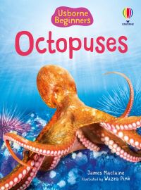 Book Cover for Octopuses by James Maclaine, Steve Simpson