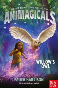 Book Cover for Willow's Owl by Paula Harrison