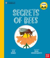 Book Cover for Secrets of Bees by Ben Hoare