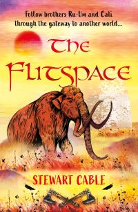 Book Cover for The Flitspace by Stewart Cable