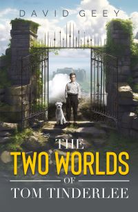 Book Cover for The Two Worlds of Tom Tinderlee by David Geey