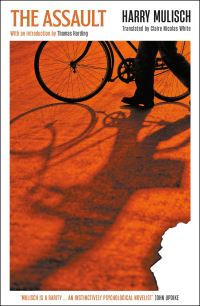 Book Cover for The Assault by Harry Mulisch