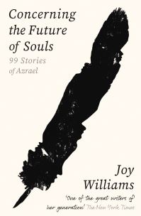 Book Cover for Concerning the Future of Souls by Joy Williams