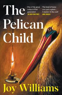 Book Cover for The Pelican Child by Joy Williams