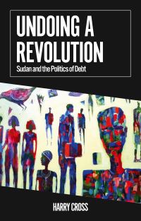 Book Cover for Undoing a Revolution by Harry Cross