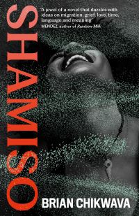 Book Cover for Shamiso by Brian Chikwava