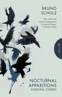 Book Cover for Nocturnal Apparitions by Bruno Schulz
