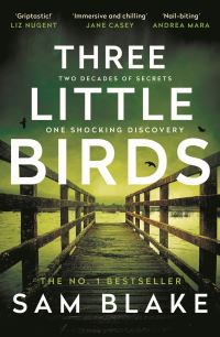 Book Cover for Three Little Birds by Sam Blake