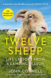 Book Cover for Twelve Sheep by John Connell
