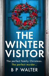 Book Cover for The Winter Visitor by B P Walter