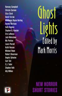 Book Cover for Ghost Lights by Mark Morris
