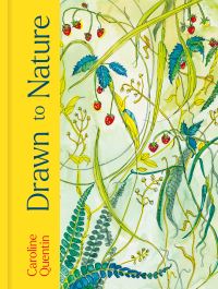 Book Cover for Drawn to Nature by Caroline Quentin