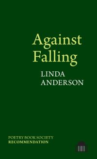 Book Cover for Against Falling by Linda R Anderson