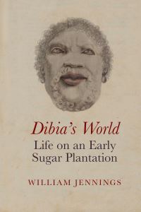 Book Cover for Dibia's World by William Jennings