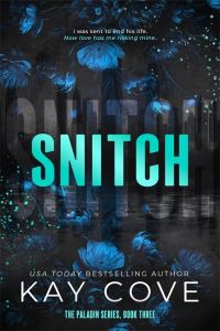 Book Cover for Snitch by Kay Cove