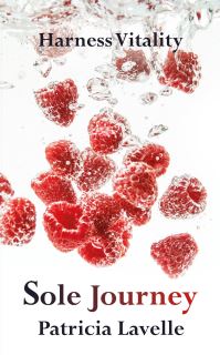 Book Cover for Sole Journey by Patricia Lavelle