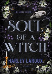 Book Cover for Soul of a Witch by Harley Laroux