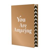 Book Cover for You Are Amazing by Summersdale Publishers