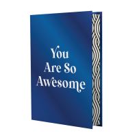 Book Cover for You Are So Awesome by Summersdale Publishers