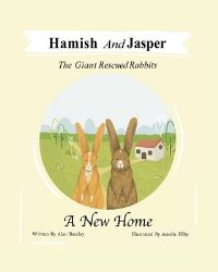 Book Cover for A New Home by Alan Barclay