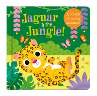 Book Cover for Jaguar in the Jungle by Laura Chamberlain